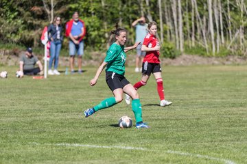Bild 360 - F SG NieBar - IF Stjernen Flensborg : Ergebnis: 2:0